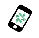 Logo Natflow - Application de santé naturelle